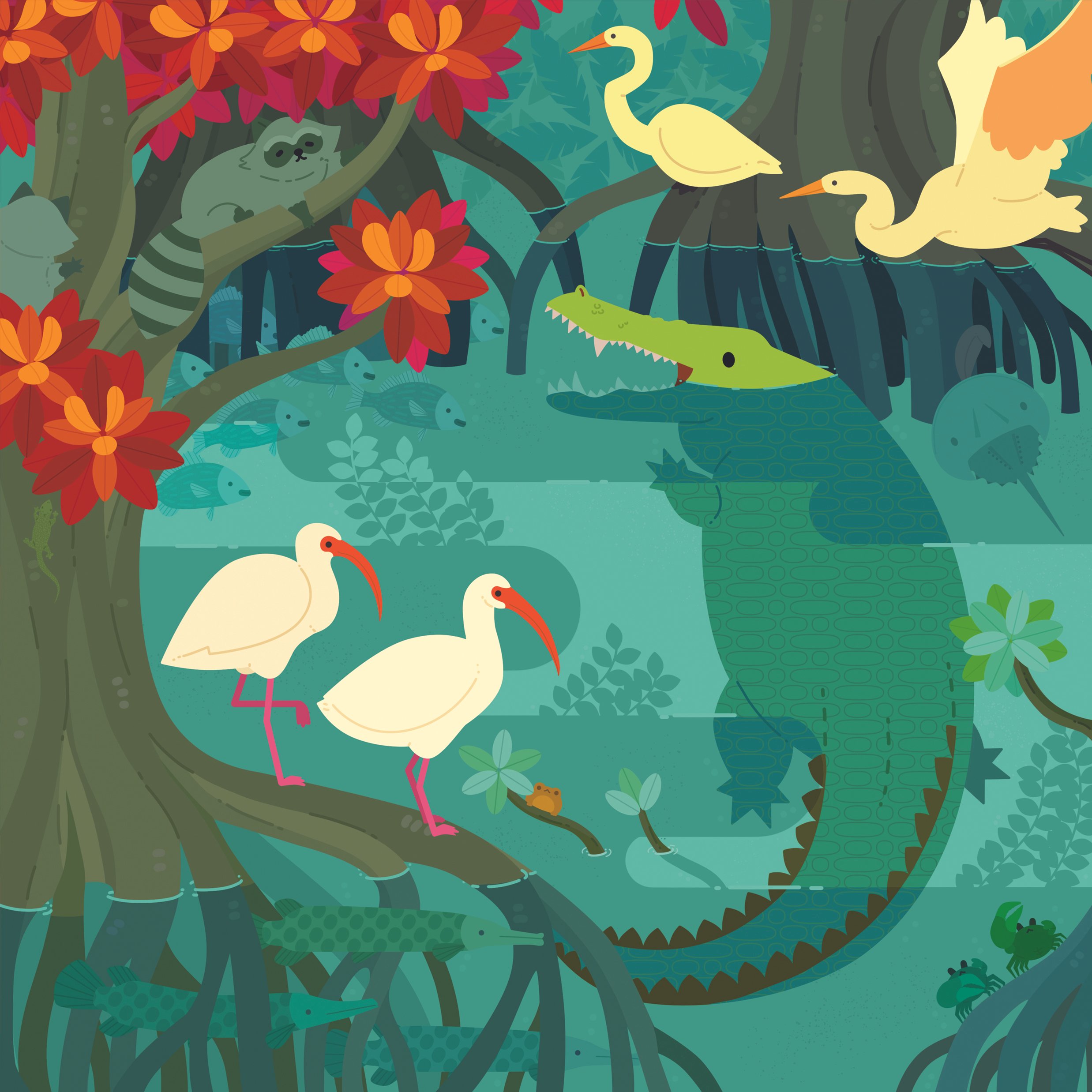 Mangrove 8x8 Matte Print