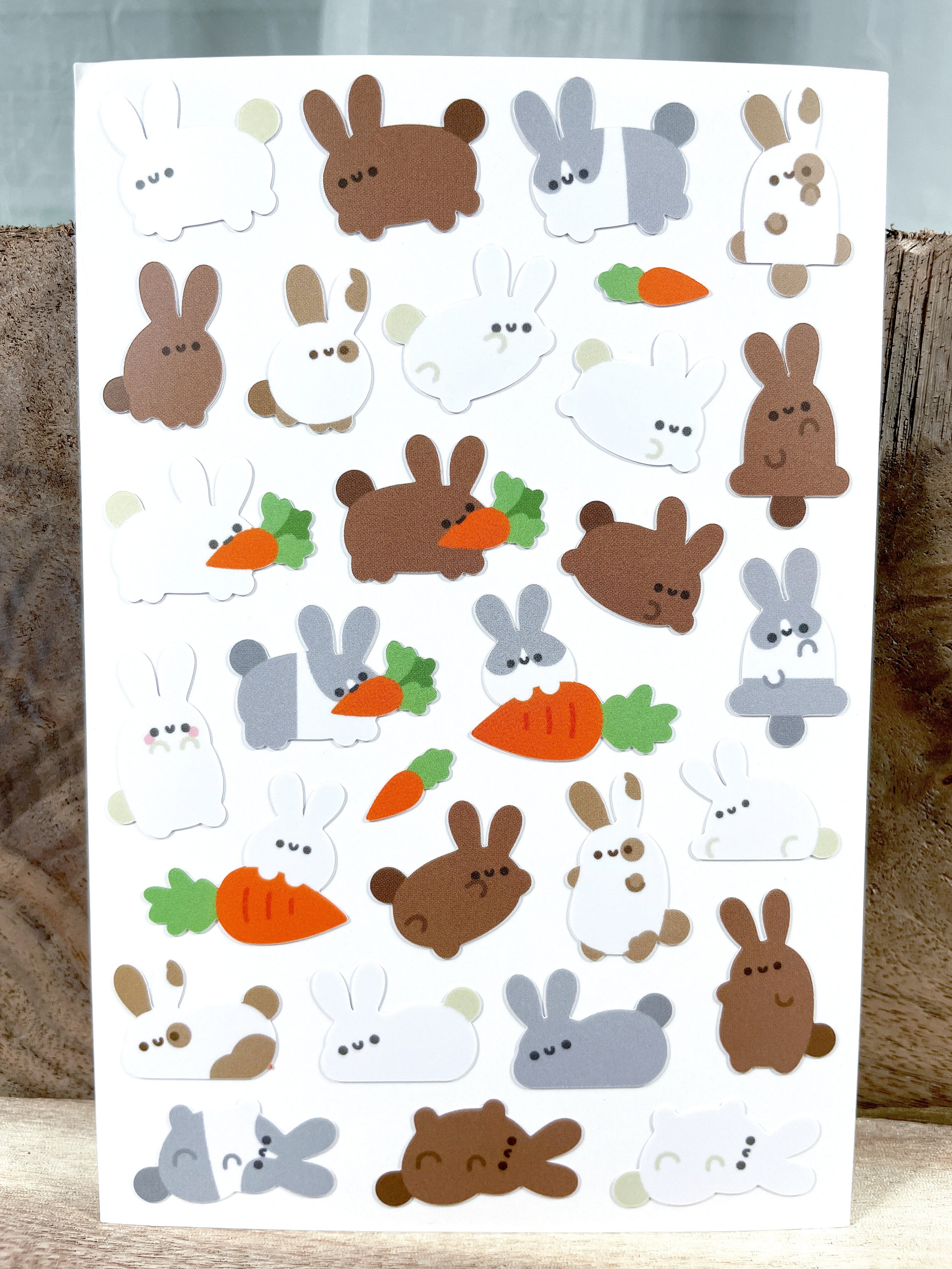 bunnyvertical.jpg