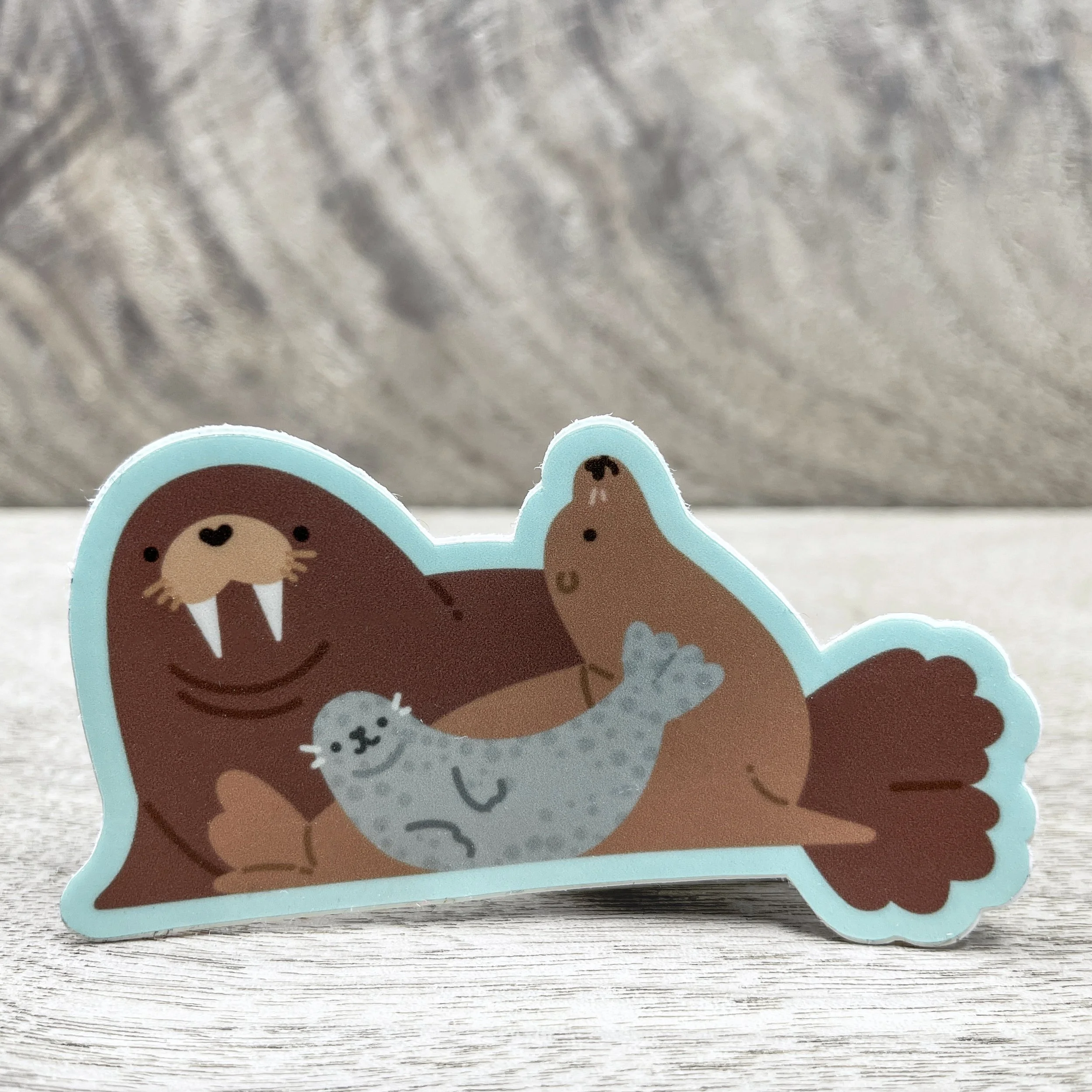 Walrus, Seal and Sea Lion Vinyl Sticker
