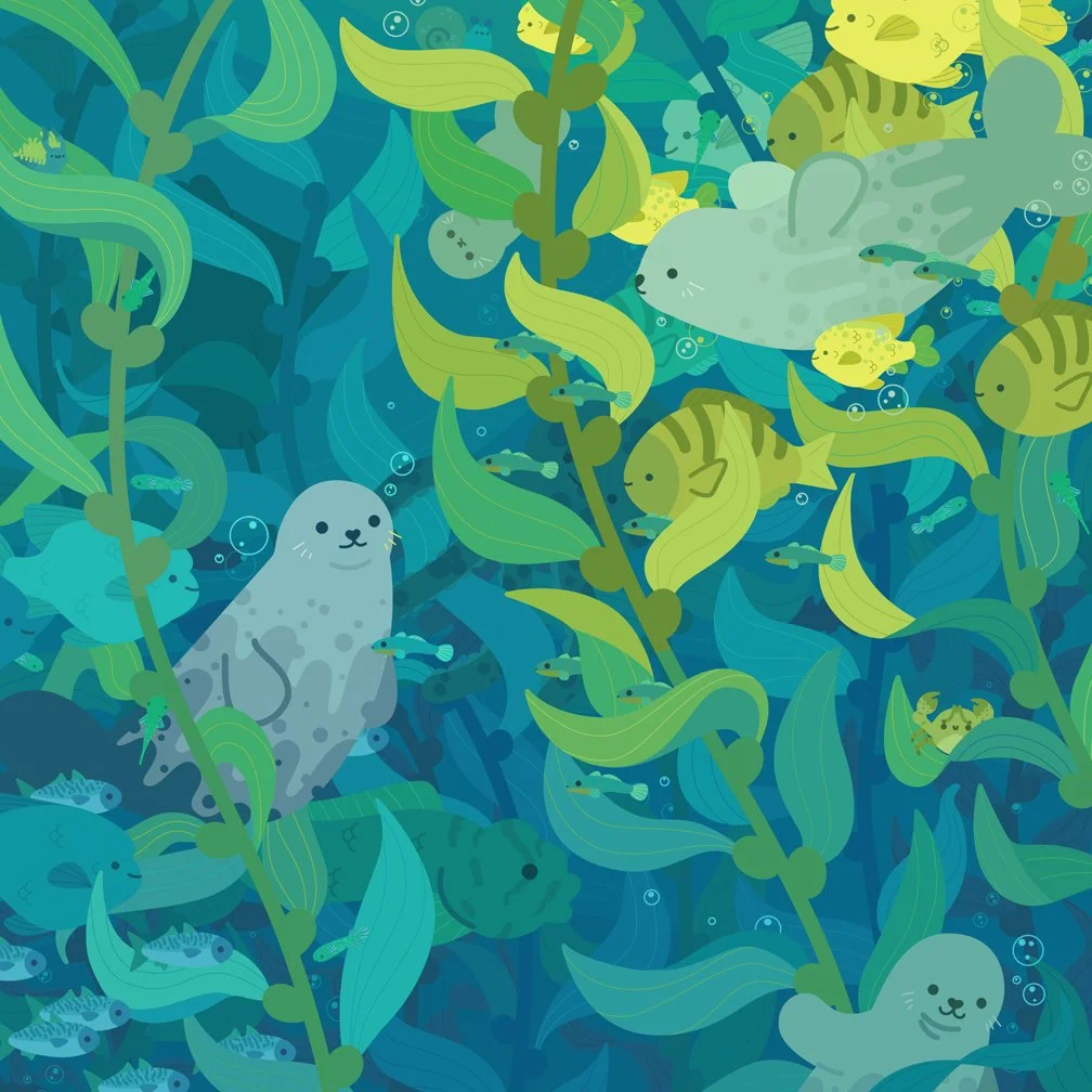 Seal Kelp Forest 8x8 Matte Print