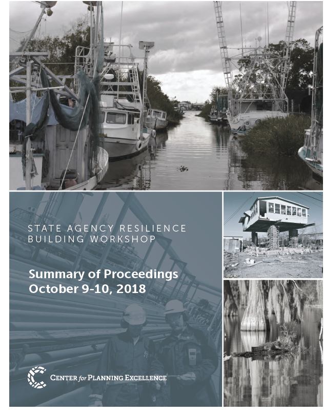 State Resilience Workshop Summary.png