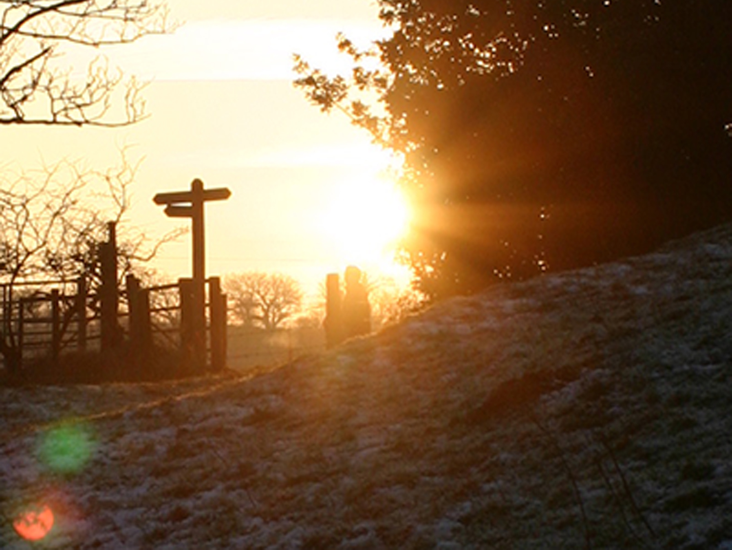 sunset2.jpg