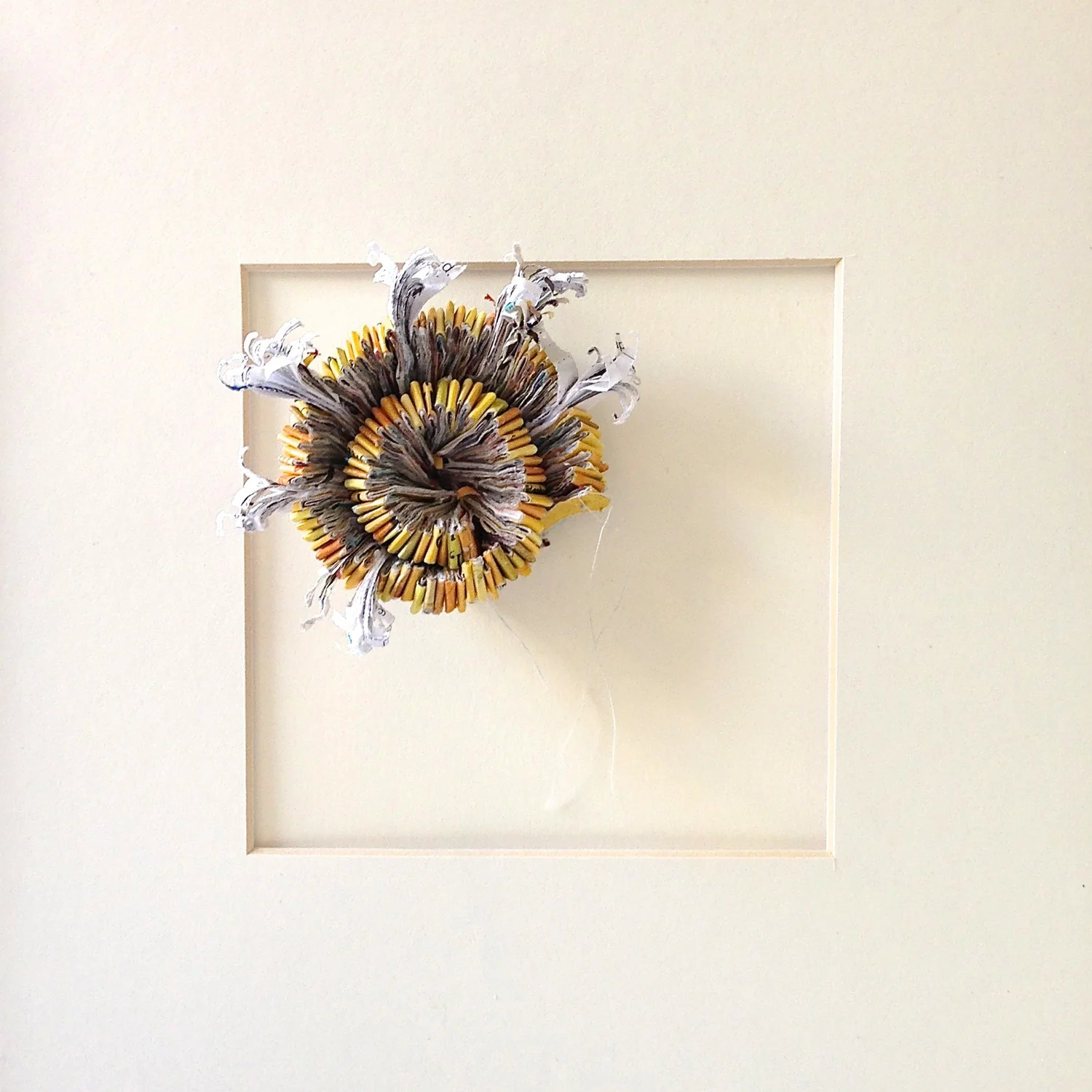 Shadowbox 1