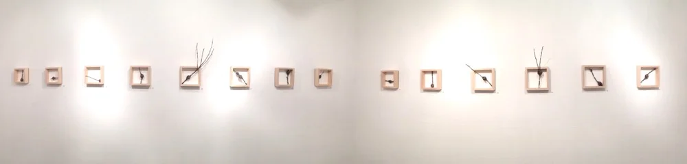Specimens 1 - 14