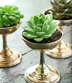 pintrest