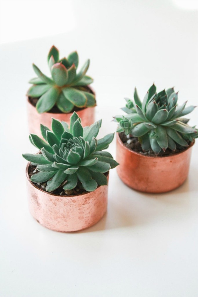 Pintrest