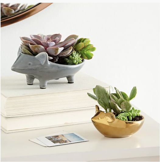 After the plants are in plant heaven throw in some crystals, pens, make them catch-alls, makeup...its endless. They are too cute not to stash all around the house. Plus they will elevate your shelf-ie.