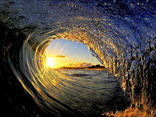 Surfer.com