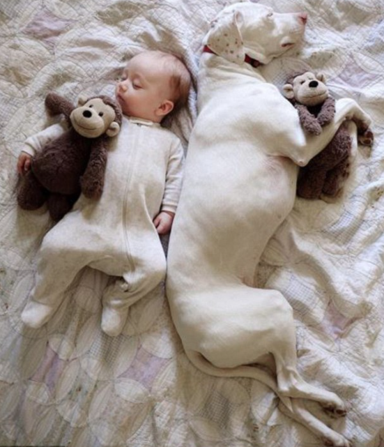 All we want to do right now...