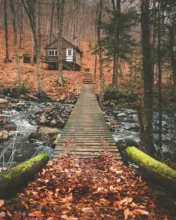 Meandering Trail...