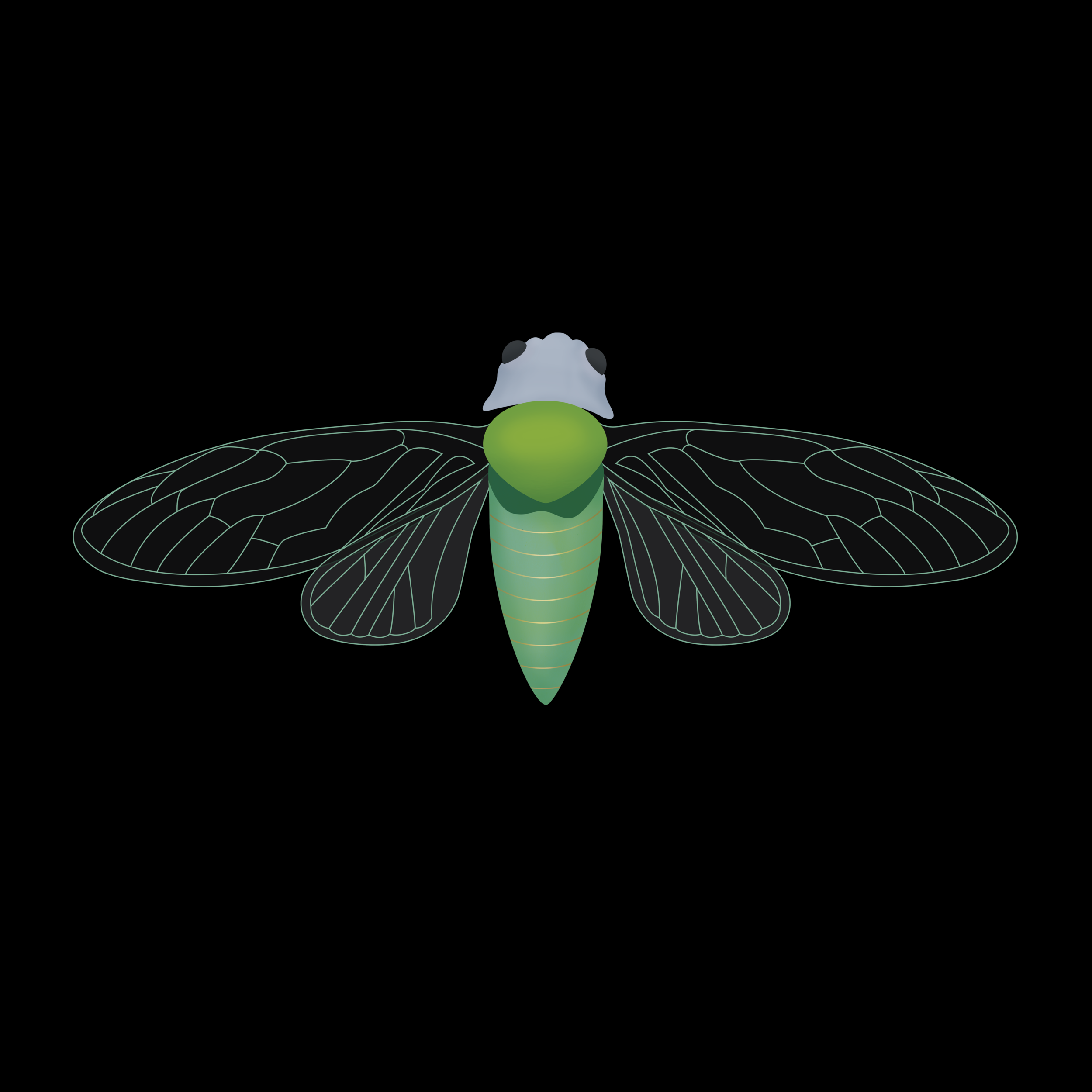 Cicada_v1+2.png