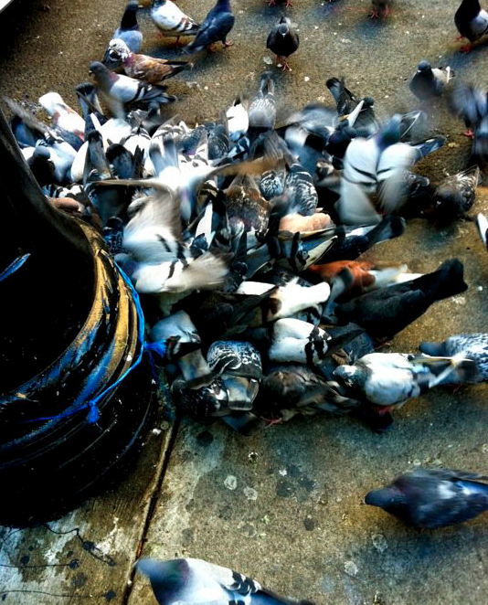 Screenshot 2014-09-18 21.50.26.png