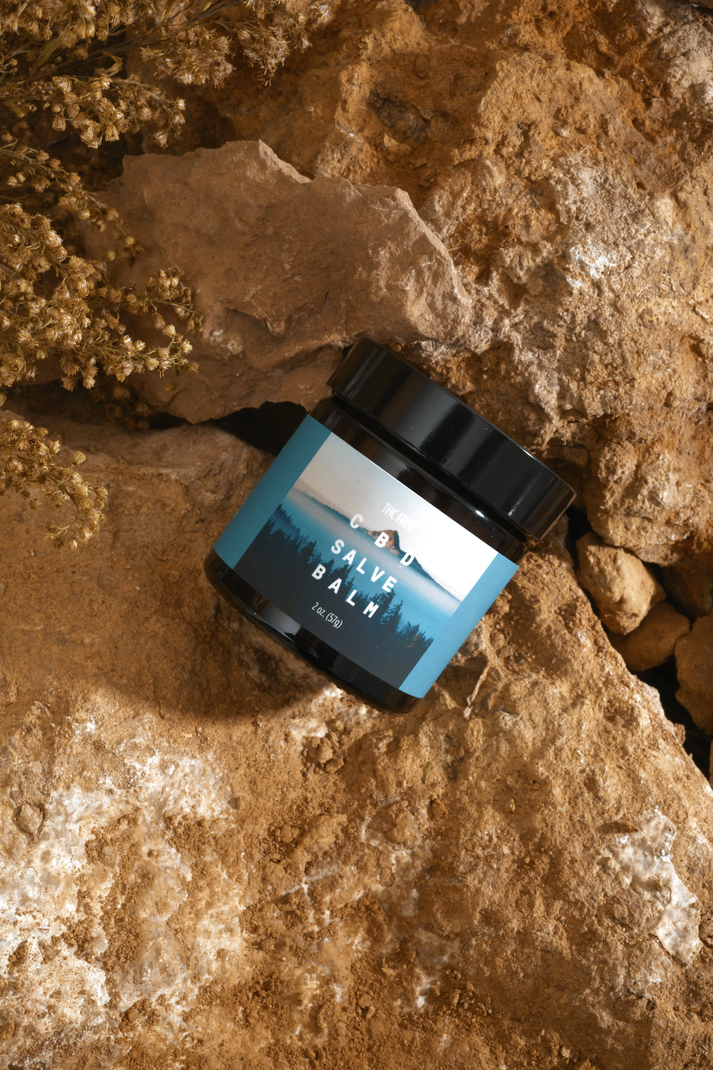 HumbleYields_2078.jpg
