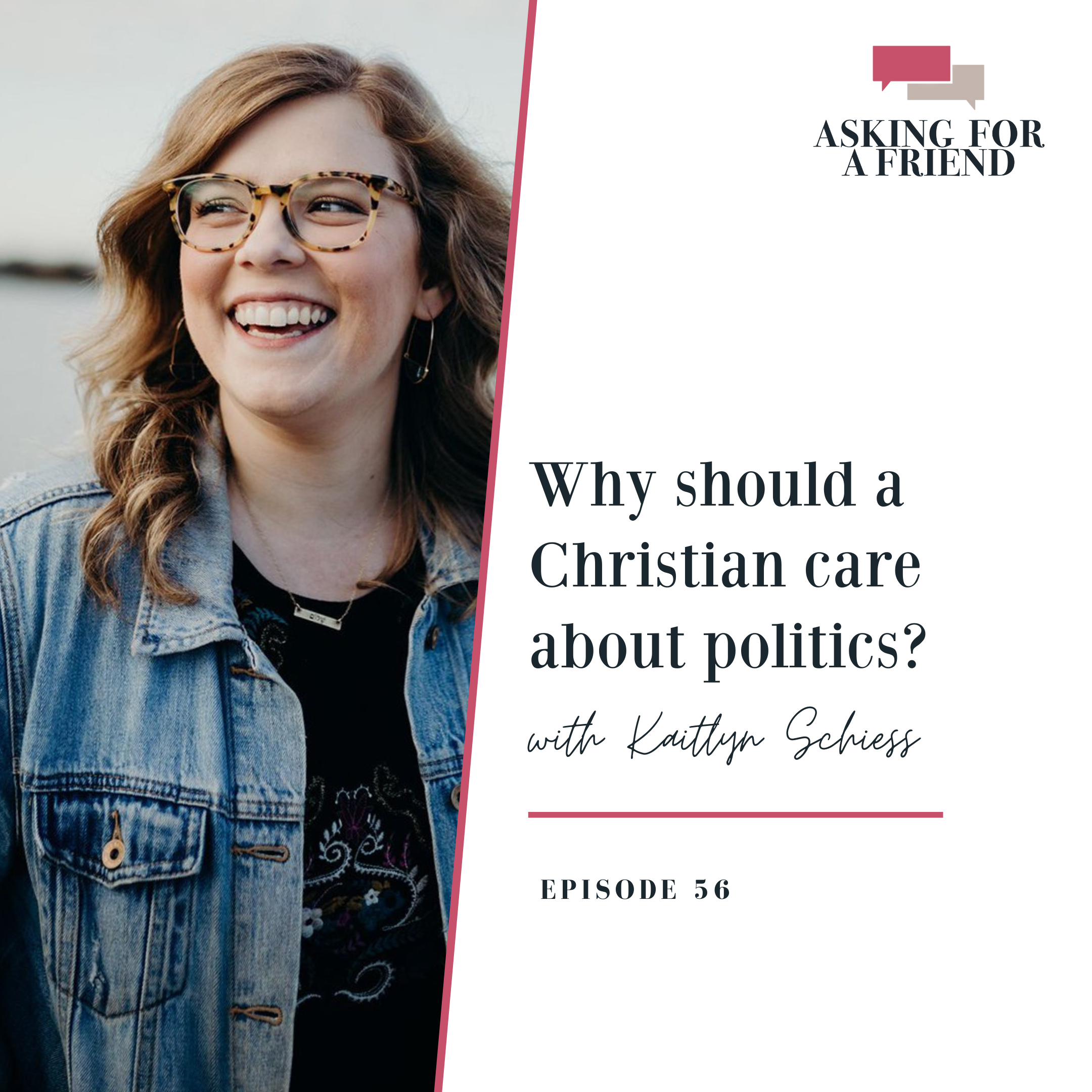 Episode 56: Why should Christians care about politics? 