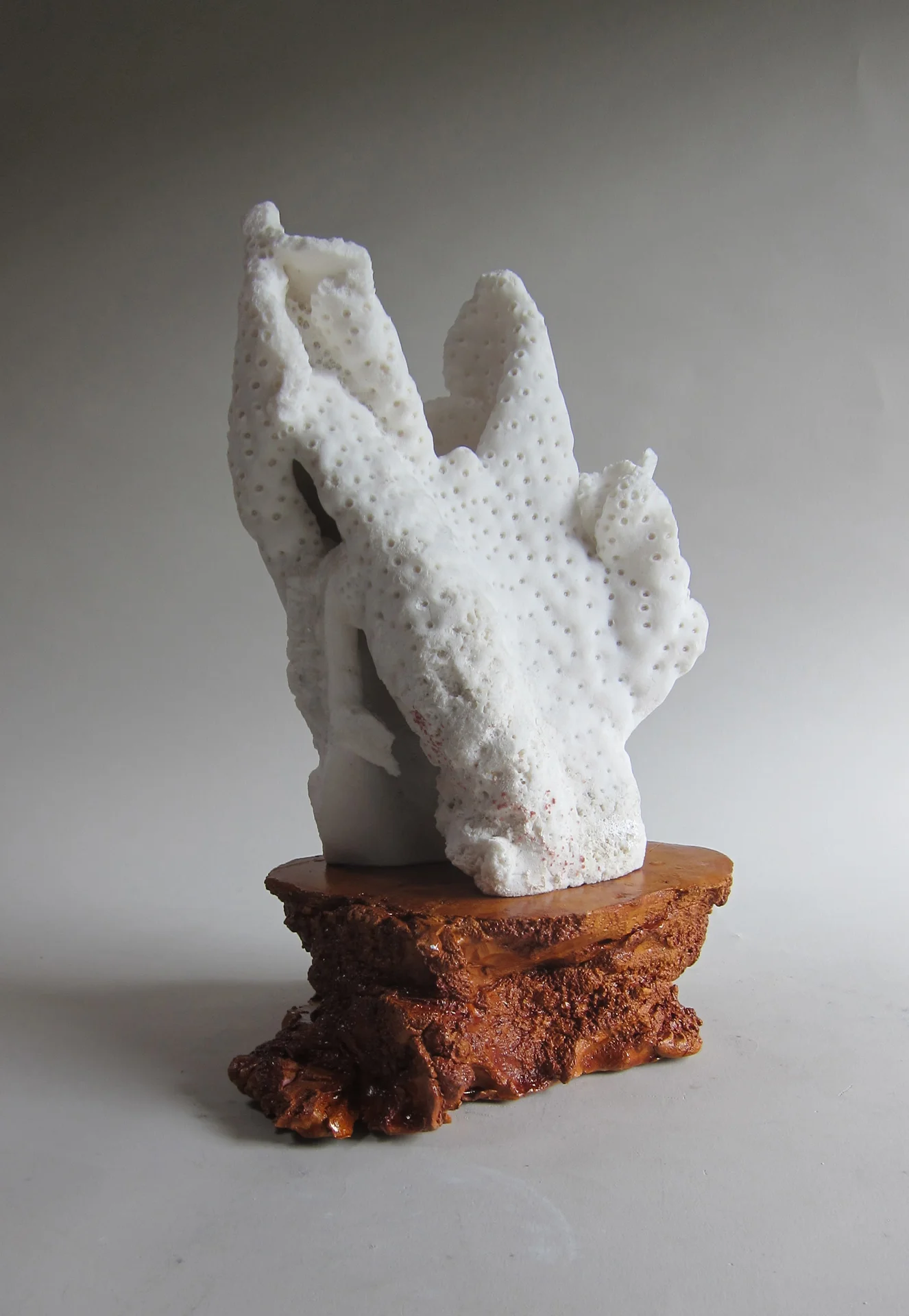   Coral, ceramic, shellac.&nbsp;  