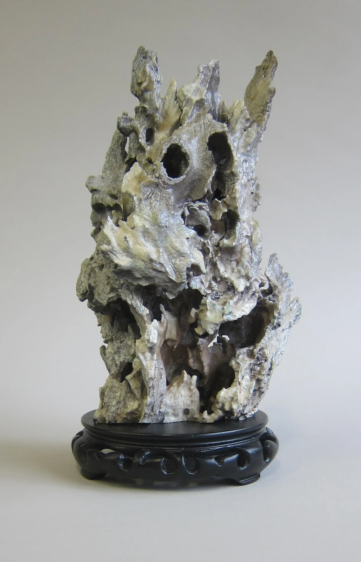   Desiccated cactus, enamel paint, resin, wood.&nbsp;  