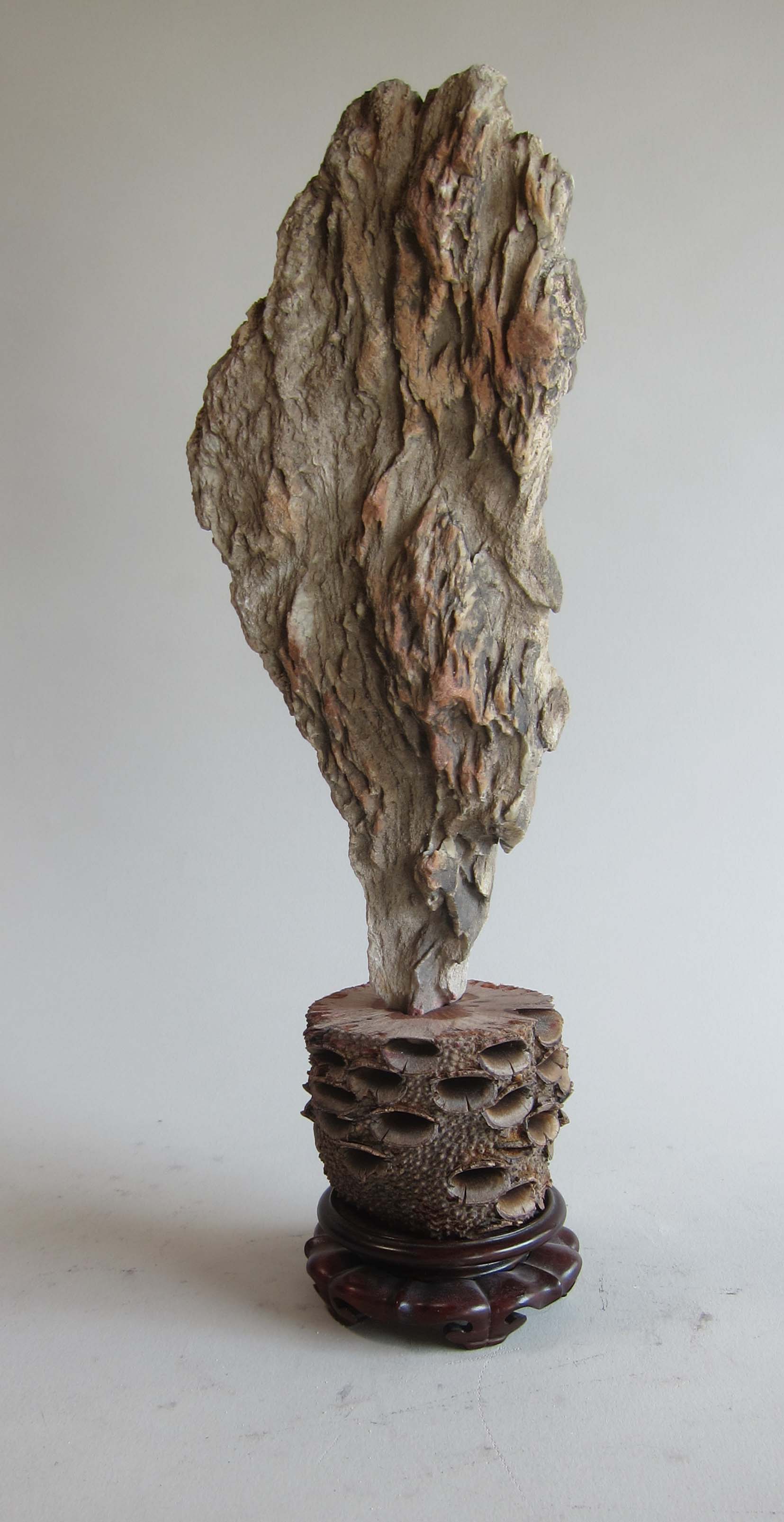   Mojave desert stone, Banksia pod, wood.&nbsp;  