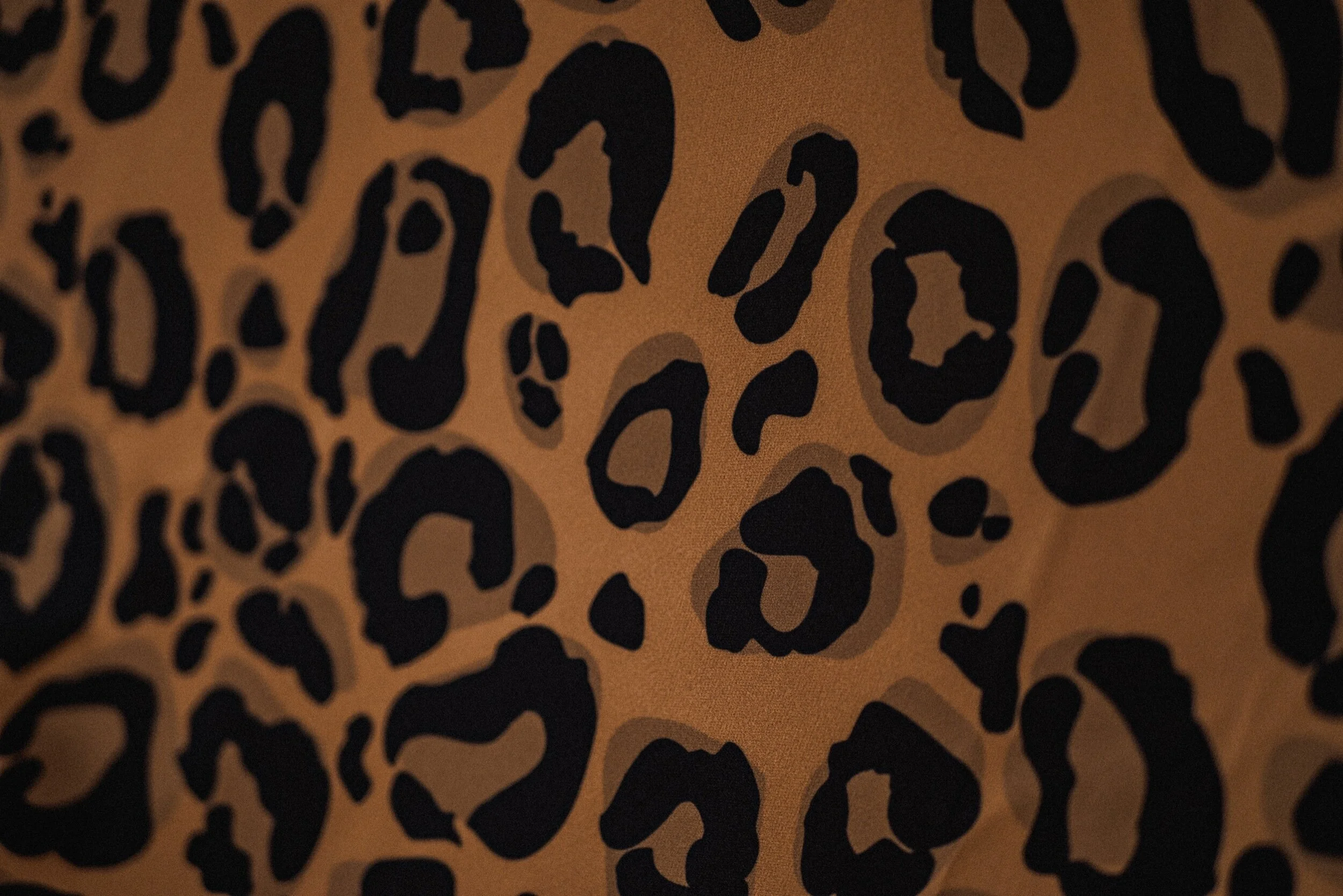 C0785A0E-40A2-4A1F-A968-9D9B37538C81