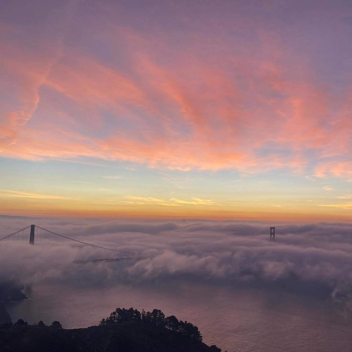 ⛰️ WHAT: hawk &amp; headlands! 
🕣 WHEN: 6:30am
📍 WHERE: GGB welcome center
🪨 PACE: dropped-but-not-forgotten
🗺️ ROUTES: Headlands loop
☕ &amp; 🥐: Arsicault