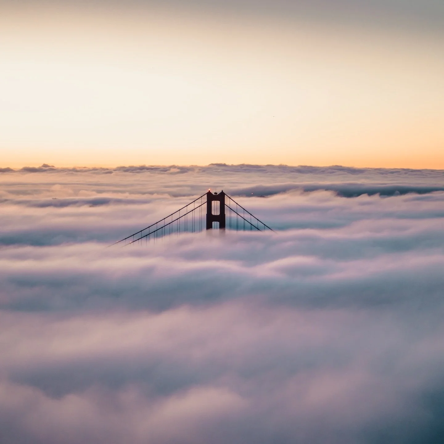 headlands

roll out tomorrow @ 6:30am - route and details in bio 🔗