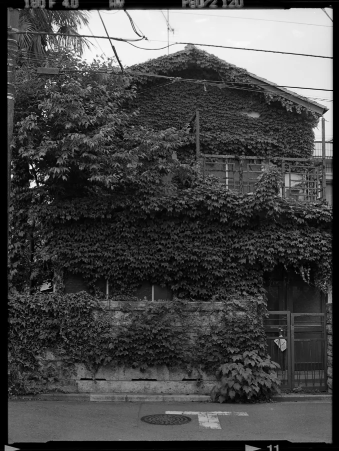old mans empty house