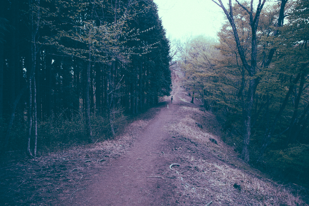 Mountain Trail