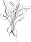 unnamed-3.jpg