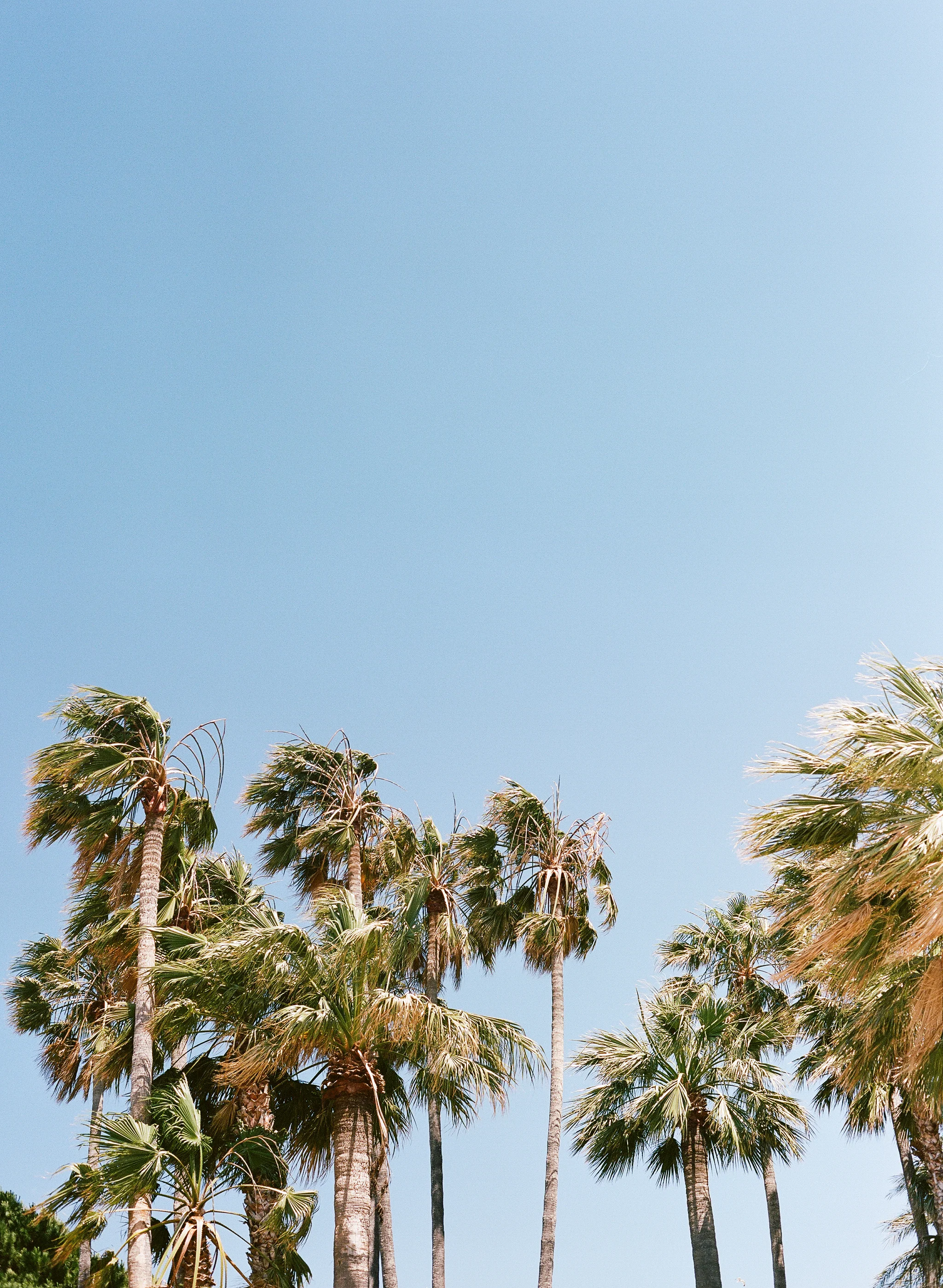 HoneymoonFilm_132.jpg