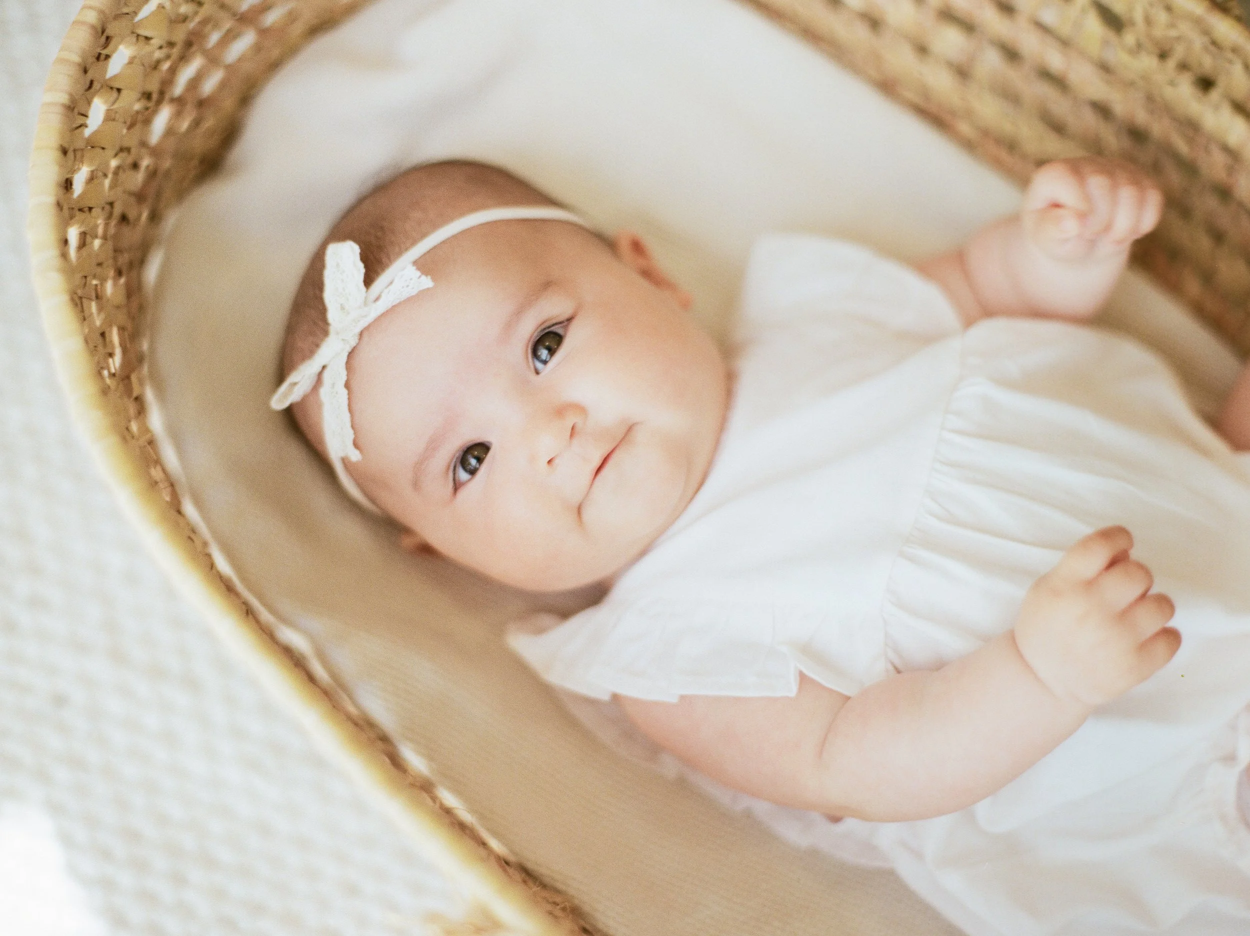 Lee Family Fall 2025 // Manhattan Beach, CA