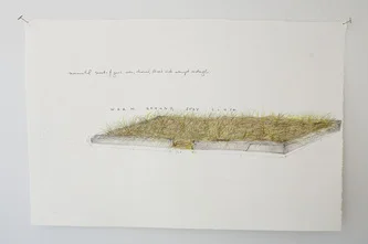 4803183.jpg