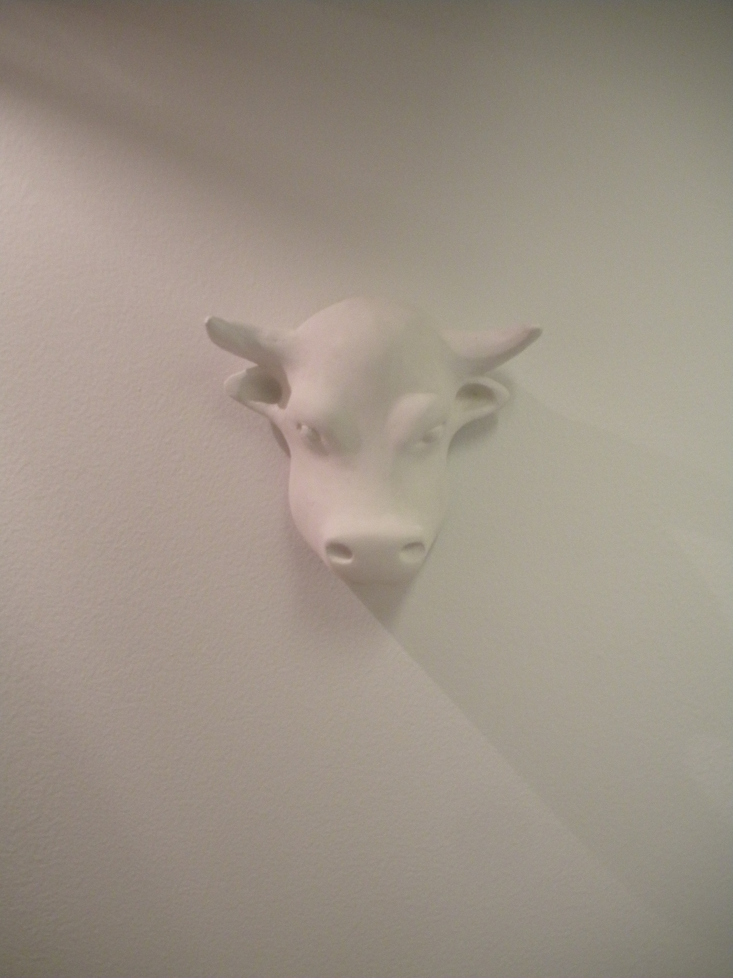 DSCN0094.JPG