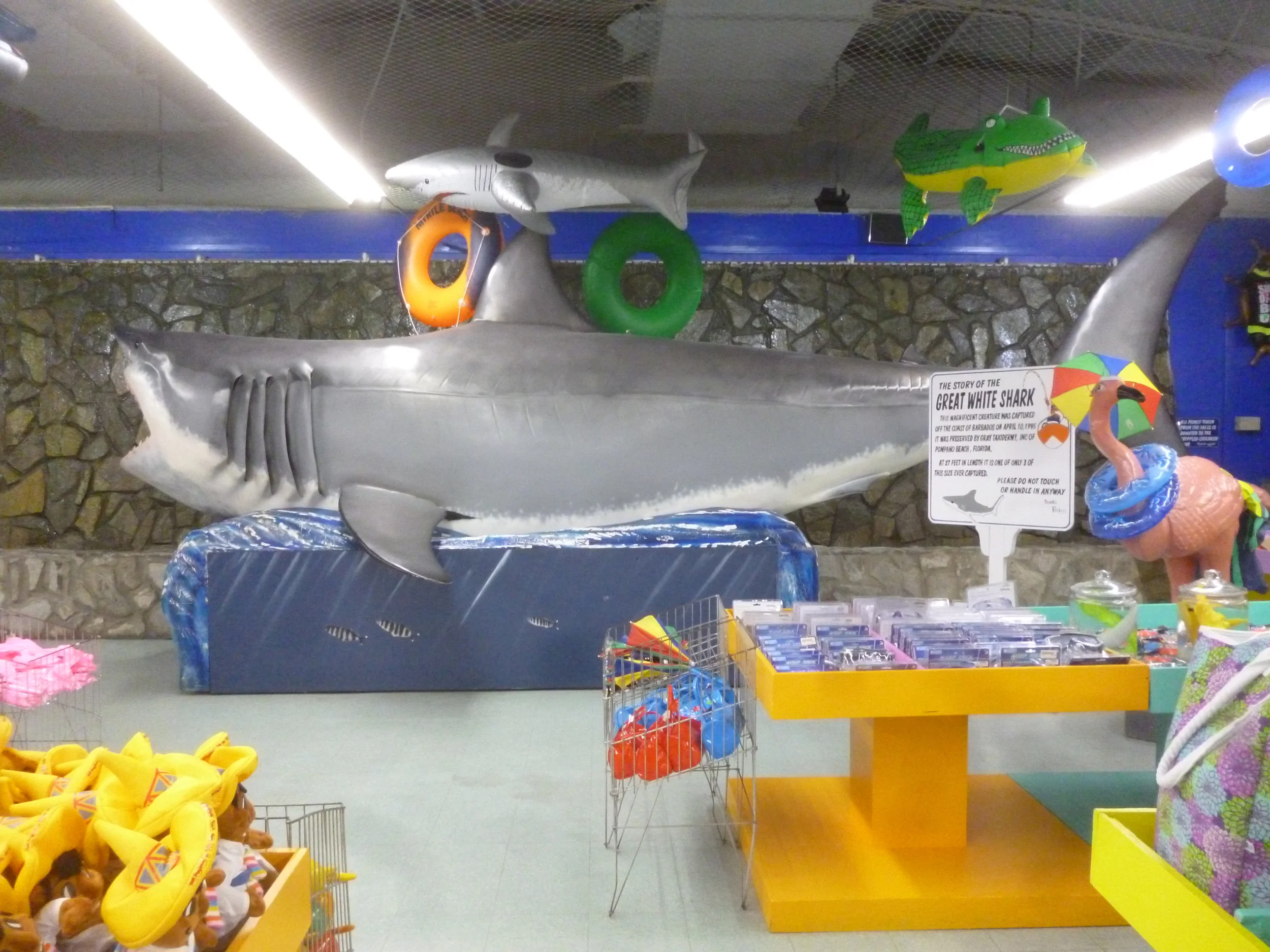P1010946.JPG