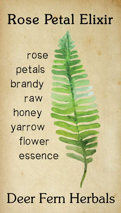 DeerFernHerbals3Brown.jpg