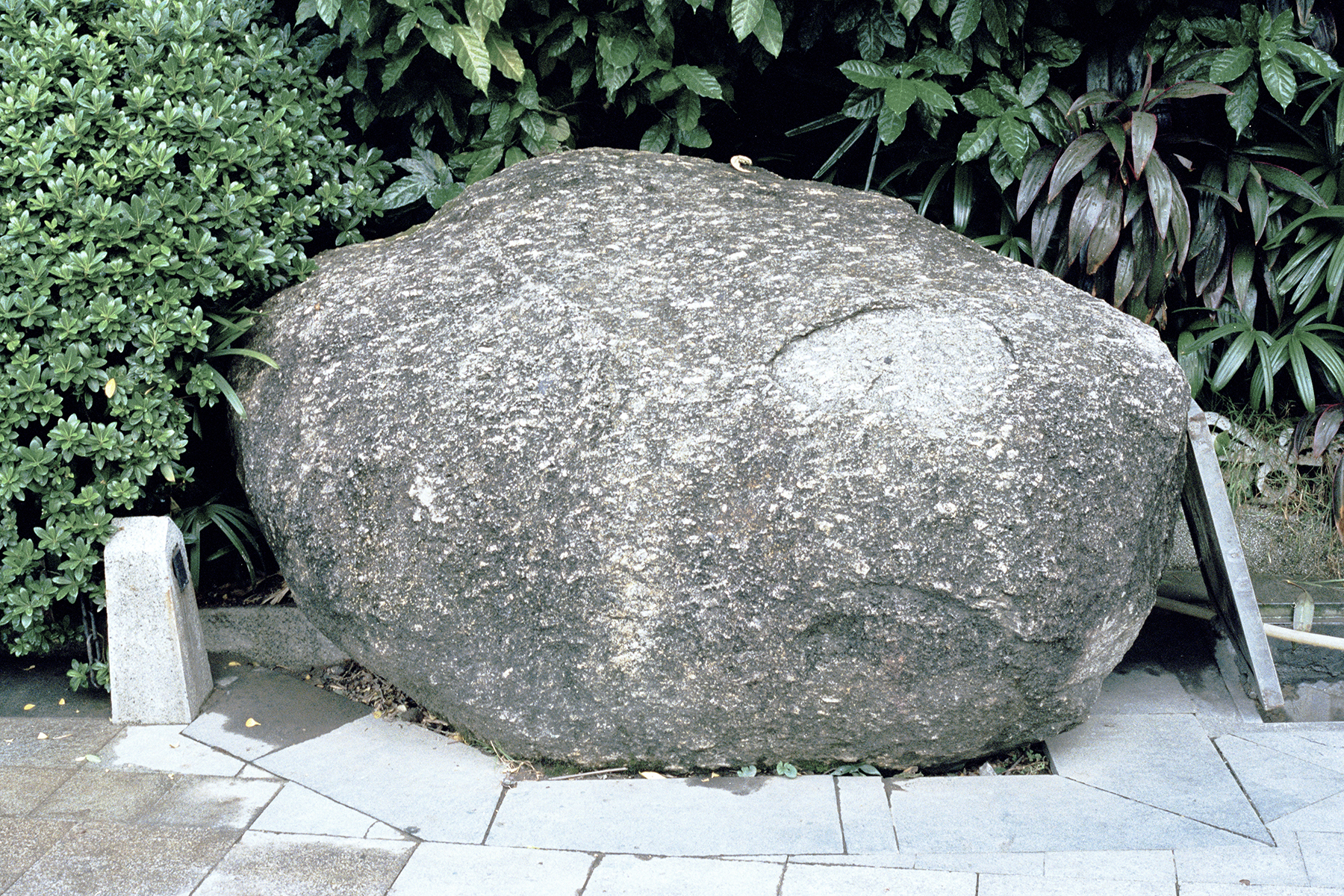 Rock.jpg