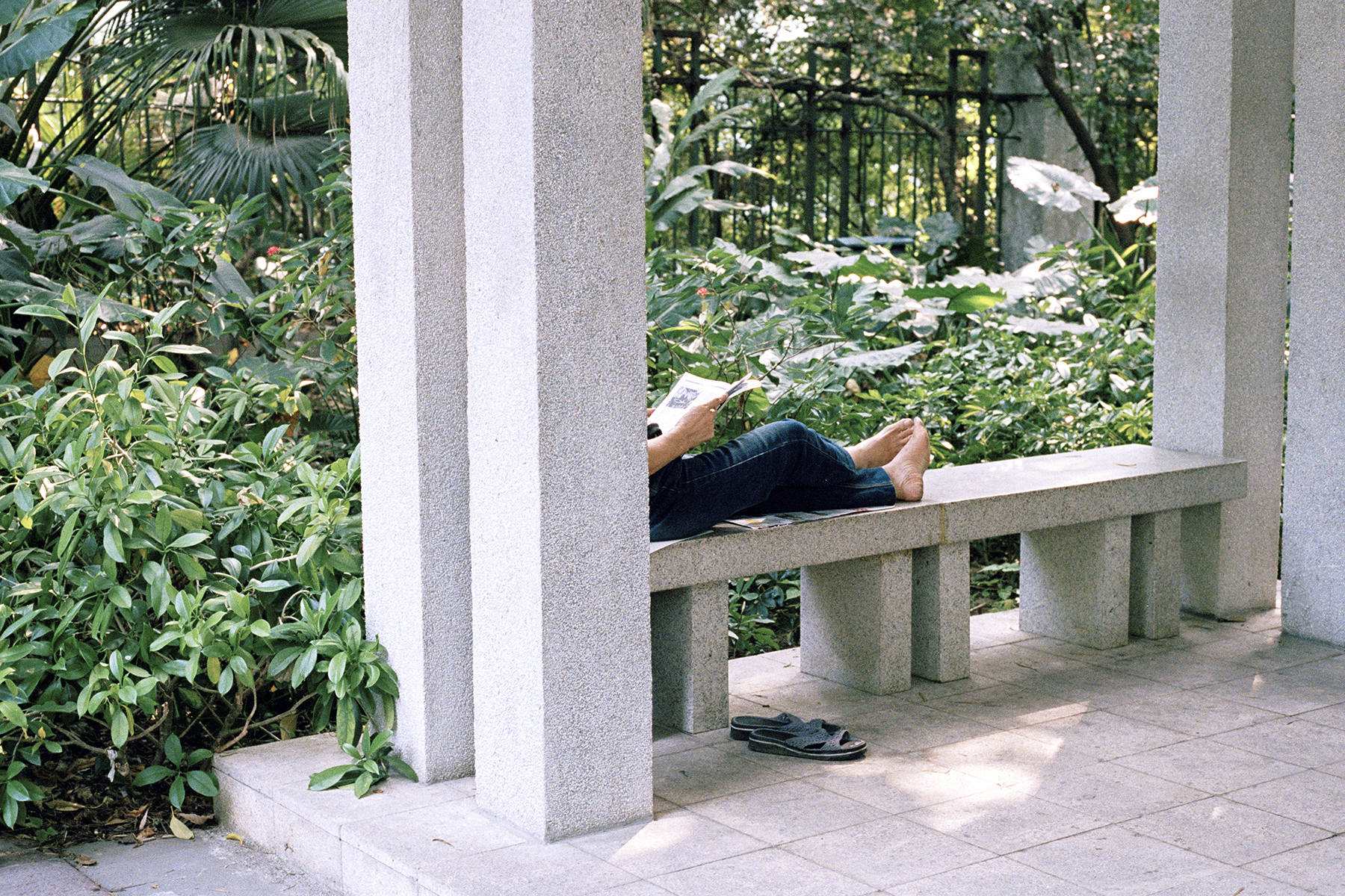 Woman Reading.jpg