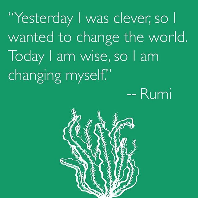 The world around us is a reflection of our inner worlds. What are you changing about yourself that will make our world better? So many changes in our lives, our world, and our hearts these days. May your changes be positive and smooth, friends. #aman