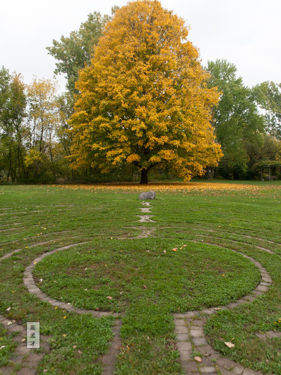 Maple & Labyrinth (Paris, ON)