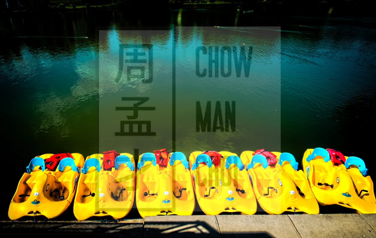 Water Bees