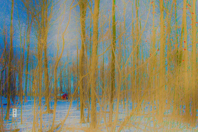 "Sugar Shack" taken outside Hawkesville, ON (archival, limited edition by ManChoi Chow)