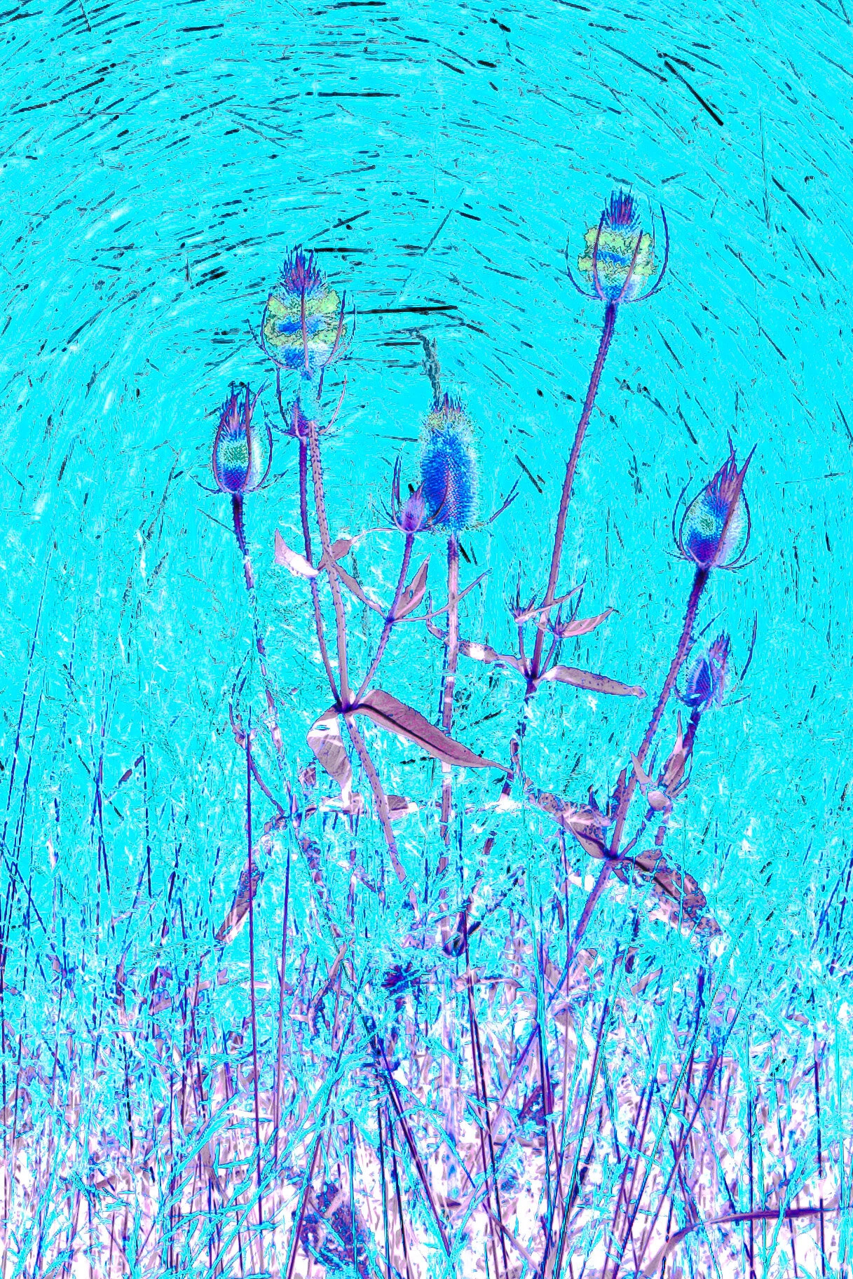 DSC_3035.jpg