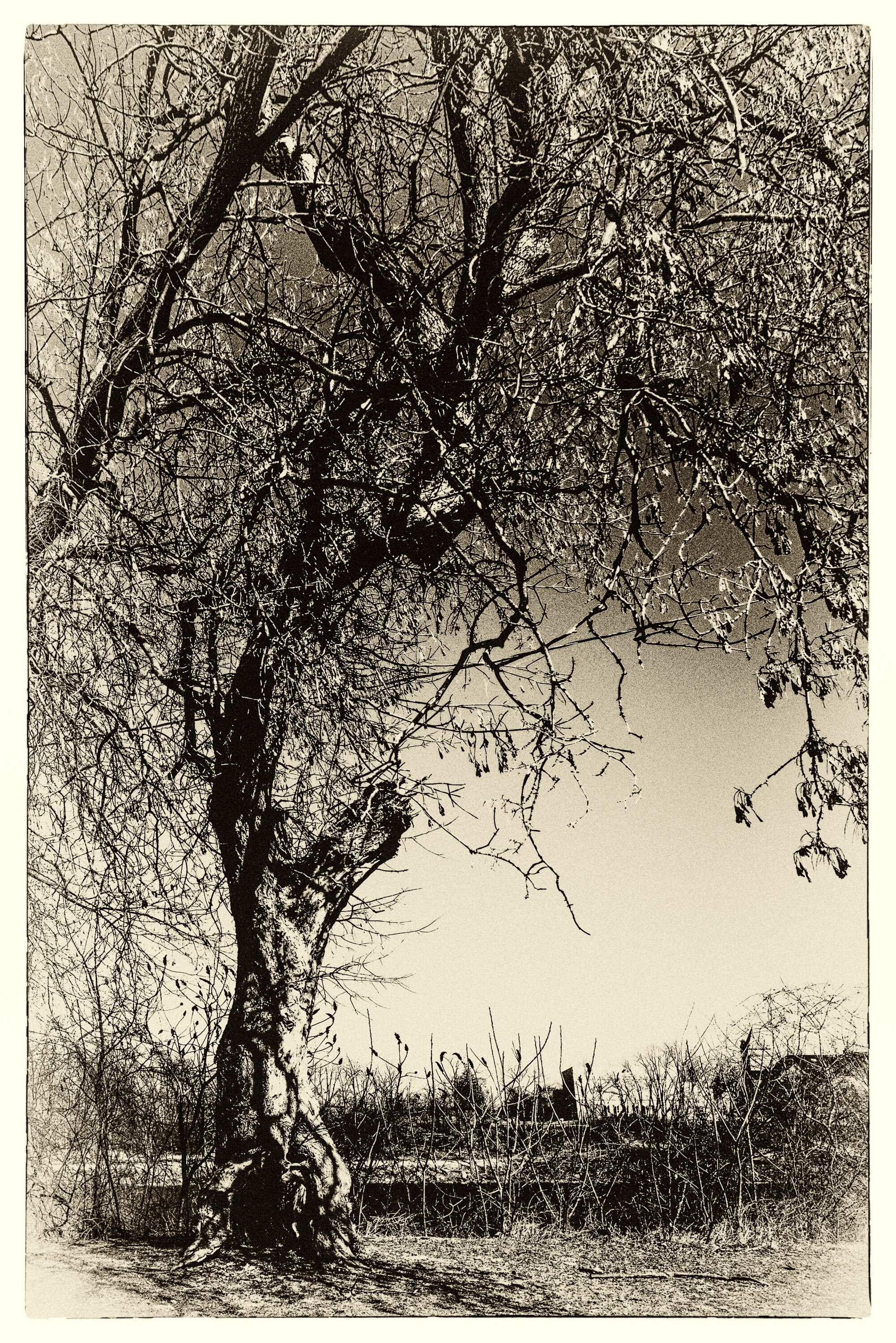 By the River Side