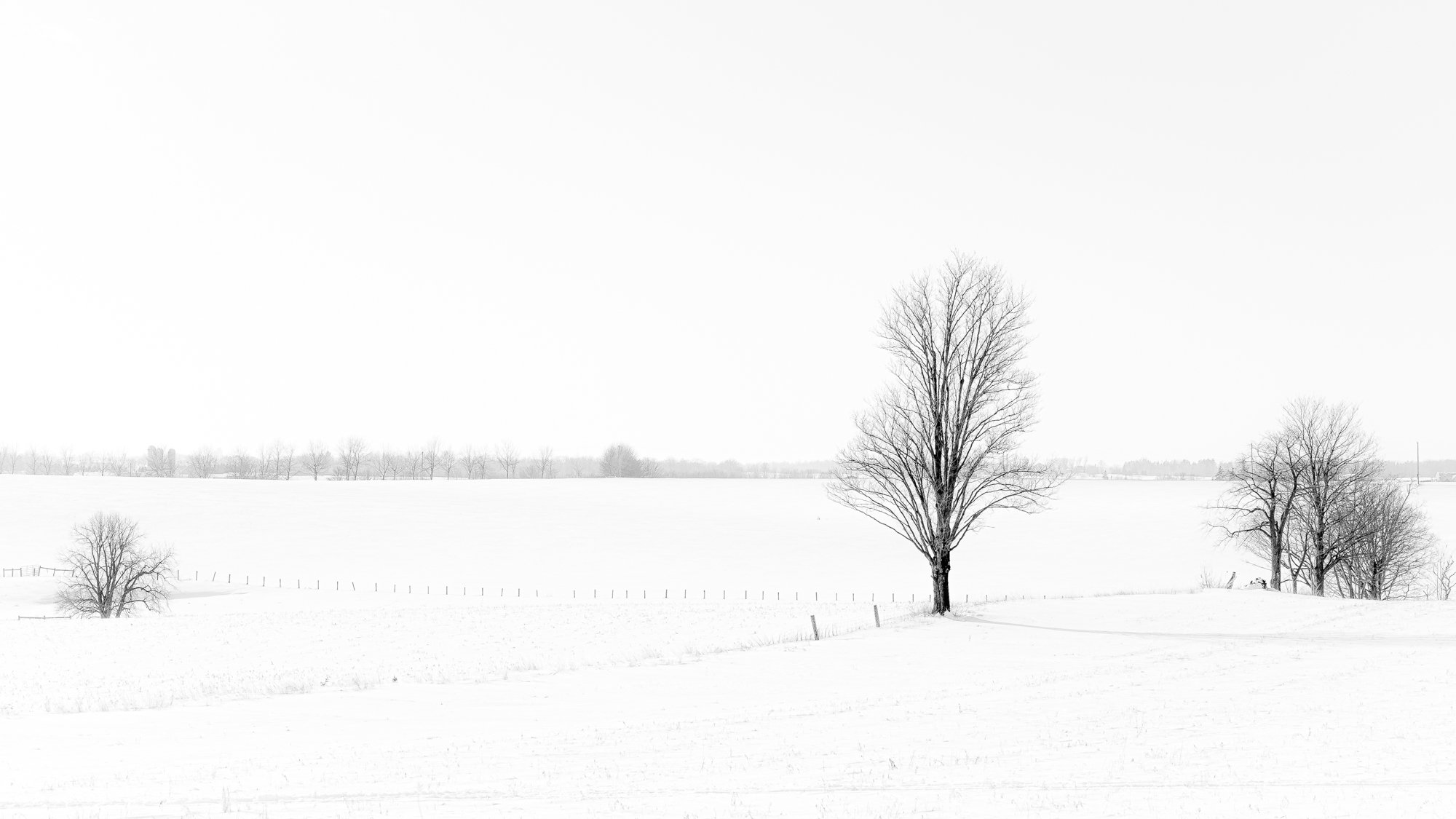 Mallot Road in Winter