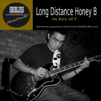 Shoji is the creator of all the famous Shoblues Harptracks sold at bluesharptracks.com . 