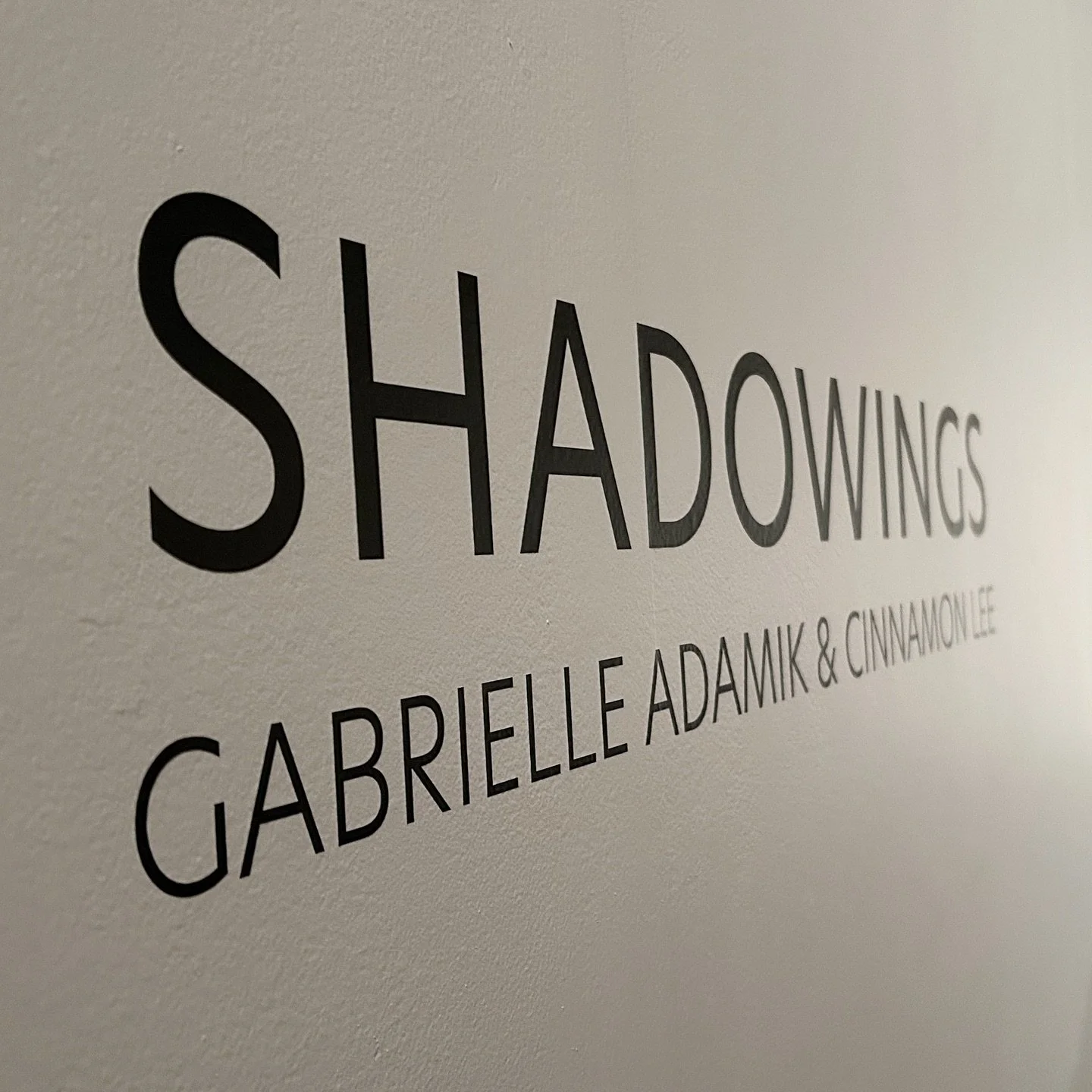 Last night&rsquo;s opening of SHADOWINGS at Sevenmarks Gallery in Kiama.

Thank you to everyone who came along to share in this new work. It was so rewarding to finally see the work installed and witness people&rsquo;s interactions with the two disti
