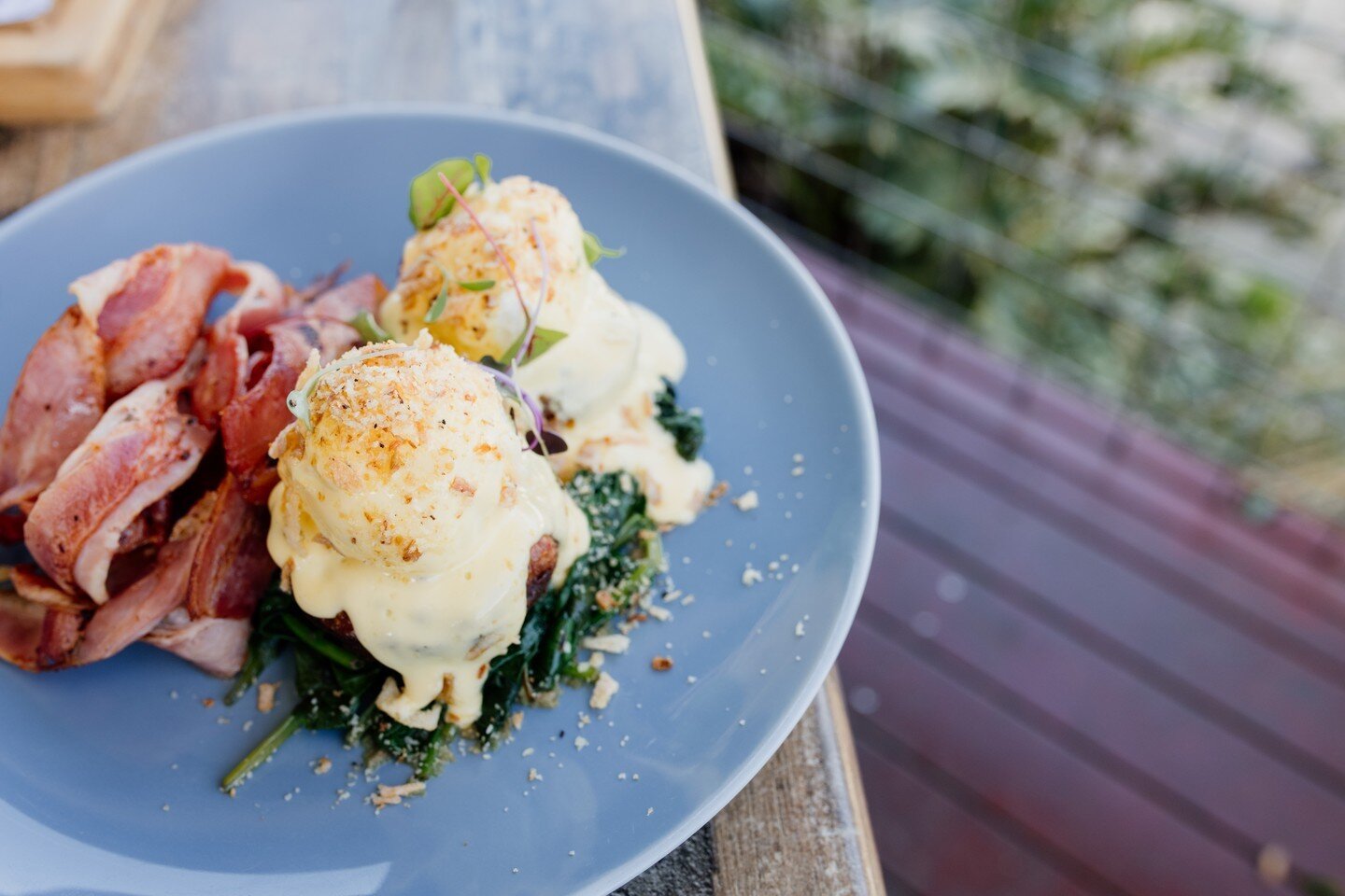 Any day is a good day for a Hash Benedict
*
*
*
*
*
#wearegoldcoast  #hellogoldcoast  #food  #breakfast  #brunch  #goldcoasteats #eggsbenedict #bacon