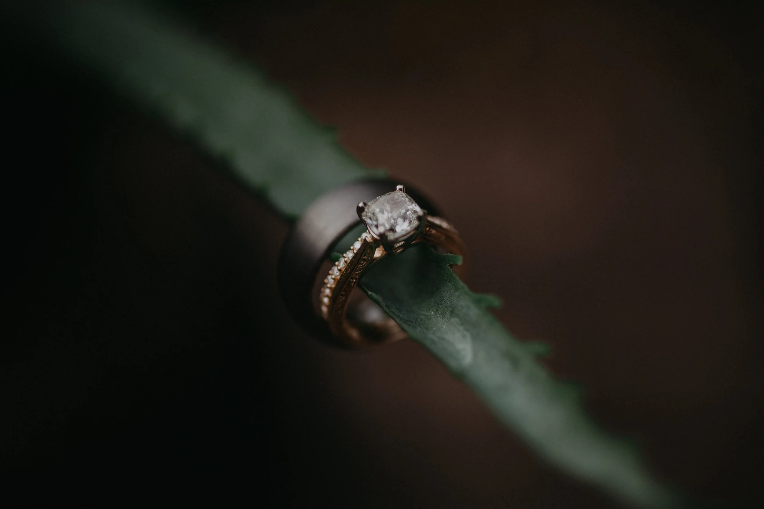 246A8878-2.jpg