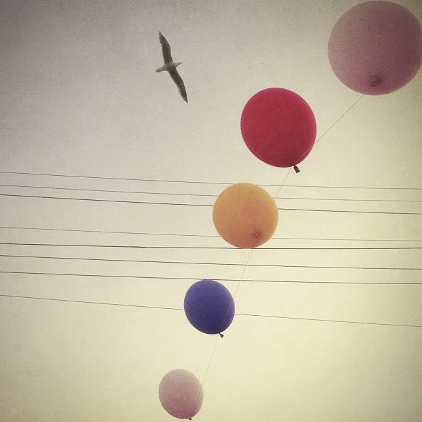 flight