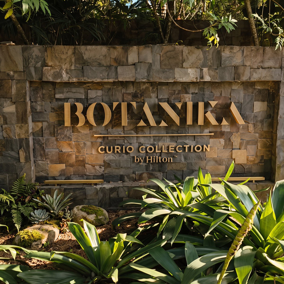 BOTANIKA CURIO COLLECTION