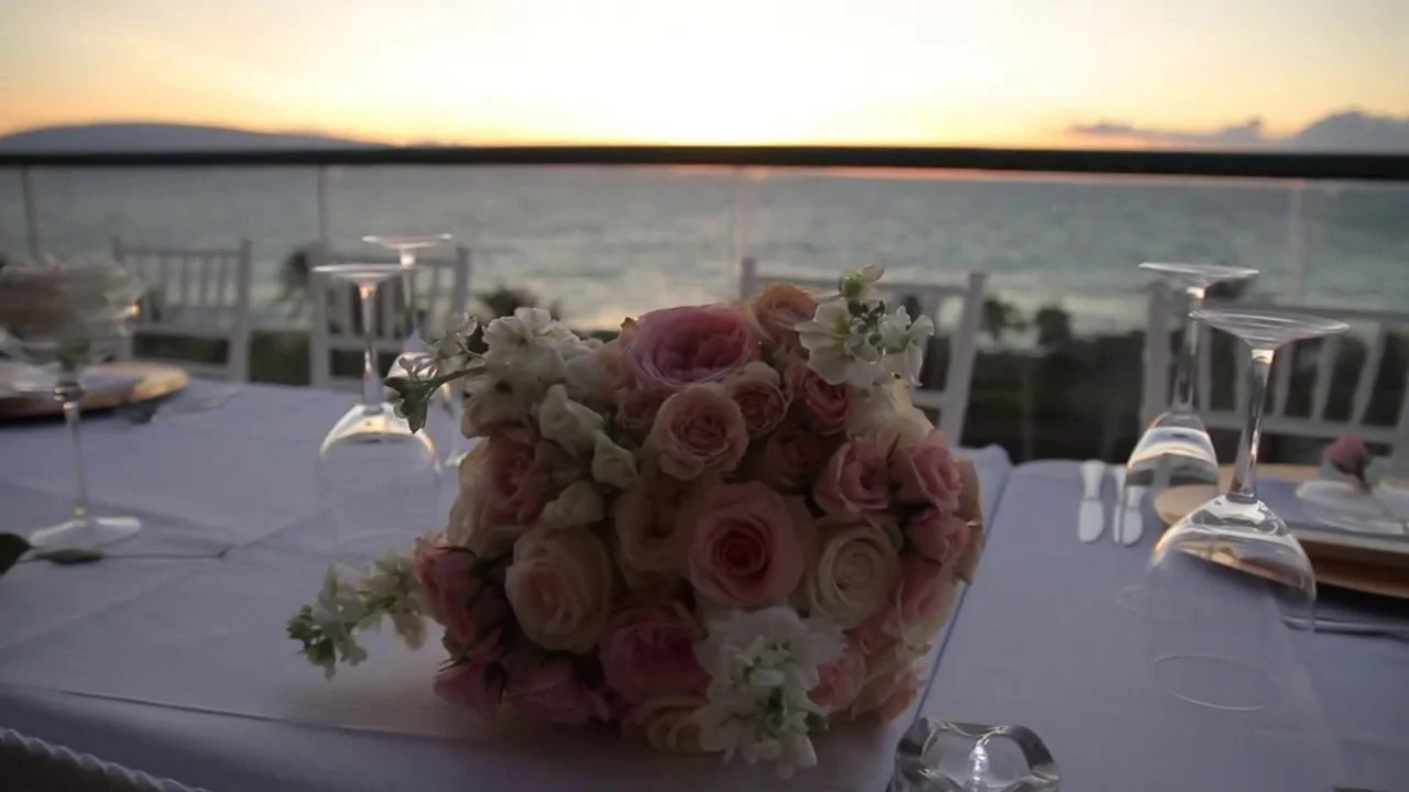 Wedding Reception Highlights - Jon & Dania