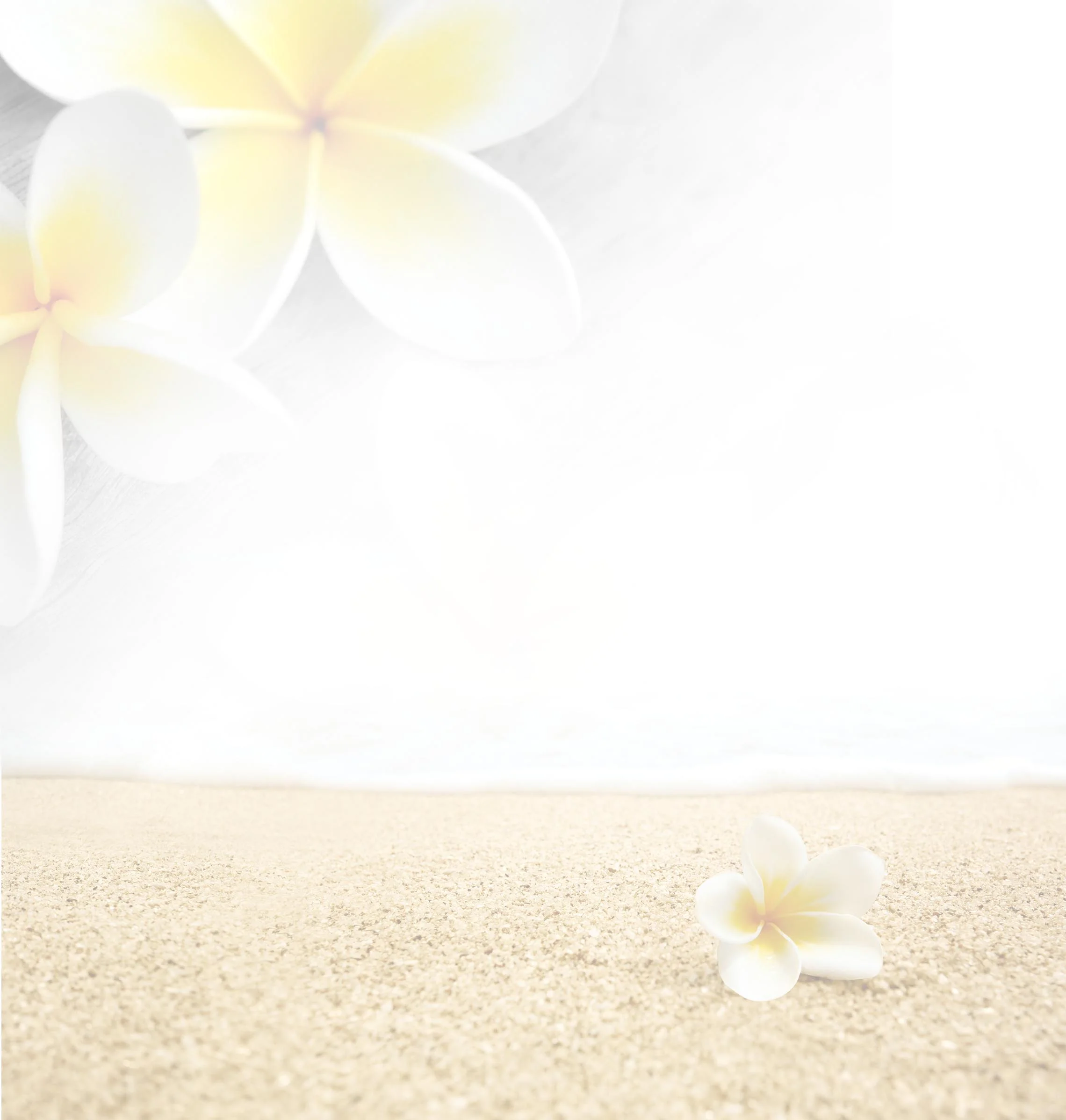 Wedding Package Background.jpg